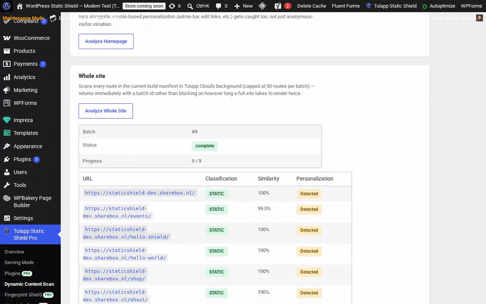 Dynamic Content Scan tab