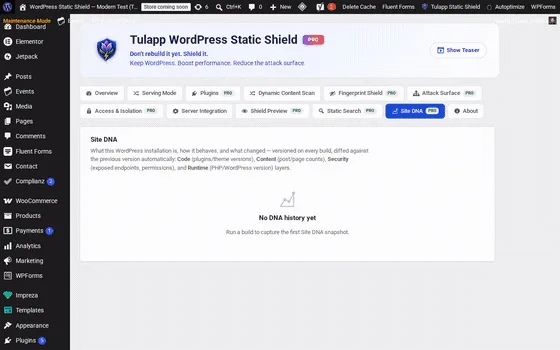 Site DNA tab (static preview)