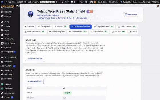 Dynamic Content Scan tab (static preview)